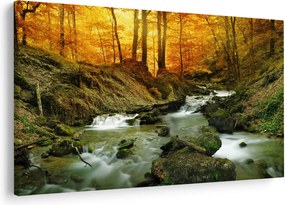 Tablou - Pădure (90x60 cm)