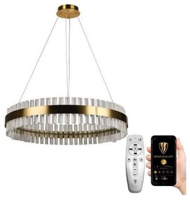 Lustră LED de cristal dimabilă pe cablu LED/55W/230V + telecomandă