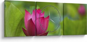 Tablou - floare de apă (cu ceas) (90x30 cm)