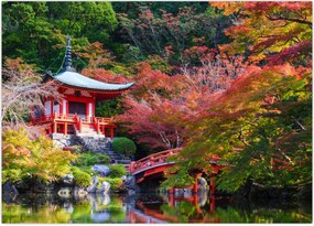 Tablou - Daigodji (70x50 cm)