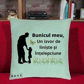 Cadou pentru Bunic - Perna Personalizata Bunicul Meu Izvor de Liniste cu Fluture si Fetita, 40x40 cm, Verde Menta, Husa Detasabila, Perna Inclusa, BEKZ®