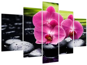 Tablou - Orhidee roz cu frunze de palmier (150x105 cm)