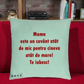 Cadou pentru Mama - Perna Personalizata Mama Cuvant Mic, 40x40 cm, Verde Menta, Husa Detasabila, Perna Inclusa, BEKZ®
