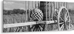 Tablou - Remorcă,alb-negru (120x50 cm)