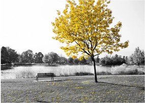 Tablou pe sticlă - relaxare în parc (70x50 cm)