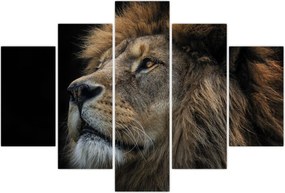 Tablou - Leul maiestuos (150x105 cm)