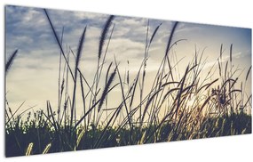 Tablou cu flori de câmp (120x50 cm)