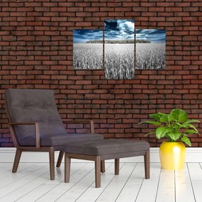 Tablou cu câmp (90x60 cm)