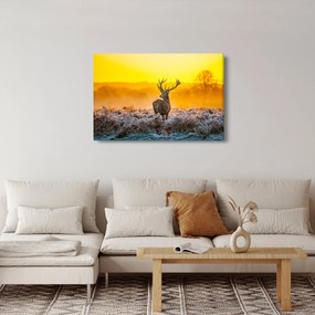Tablou - Cerb la răsăritul soarelui (90x60 cm)