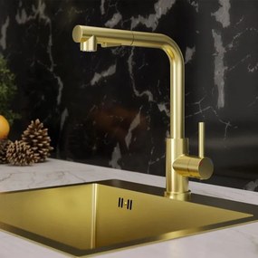 Baterie bucatarie cu dus extractibil Quadron Nicki finisaj Nano PVD auriu satinat