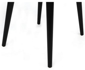 Set de scaune de sufragerie Alfa Cream and Black, 2 buc.