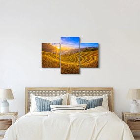 Tablou - Terasele de orez din Vietnam (90x60 cm)