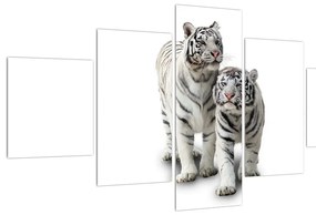 Tablou cu tigrul alb (125x70 cm), în 40 de alte dimensiuni noi