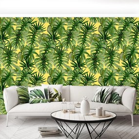 Fototapet Monster Palm