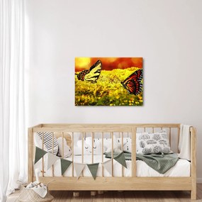 Tablou cu fluturi (70x50 cm)