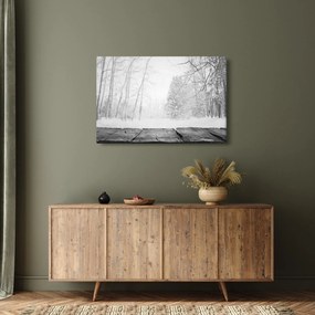 Tablou - Pier de lemn în timpul iernii (90x60 cm)