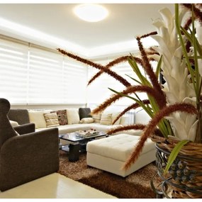 Plafonieră LED dimabilă Ecolite WZSD-25W/LED DIAMANT LED/25W/230V + telecomandă