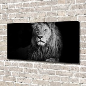 Imprimare tablou canvas Leu