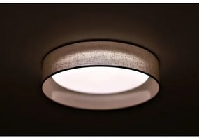Plafonieră LED Duolla ROLLER LED/24W/230V d. 45 cm gri deschis