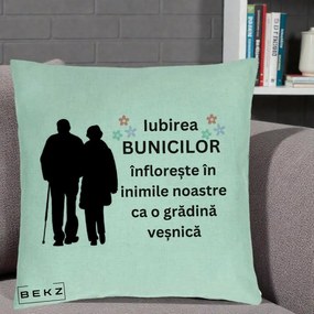 Cadou pentru Bunici - Perna Personalizata Bunicii Iubirea Infloreste Silueta Neagra Flori, 40x40 cm, Verde Menta, Husa Detasabila, Perna Inclusa, BEKZ®