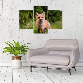 Tablou cu vulpe (90x60 cm)