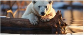 Tablou - Ursul polar (120x50 cm)