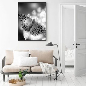 Poster - Fluture (A4)