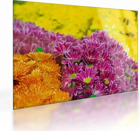 Tablou pe sticlă cu floarea roz (70x50 cm)