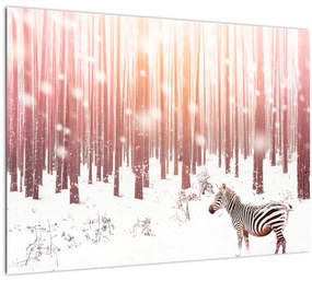 Tablou pe sticlă - Zebra în pădurea înzăpezită (70x50 cm)