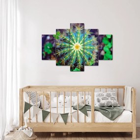 Tablou cu cactus (150x105 cm)