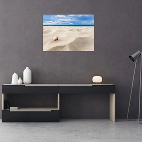 Tablou pe sticlă - Scoici pe plajă (70x50 cm)