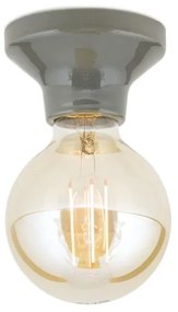 Orion - Plafonieră FROST 1xE27/60W/230V, gri