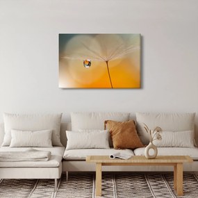 Tablou - Flori macro (90x60 cm)