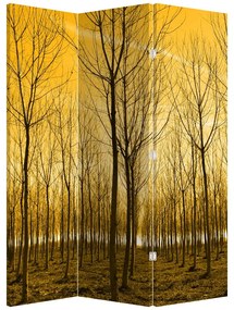 Paravan - Pădure în apus de soare (126x170 cm)