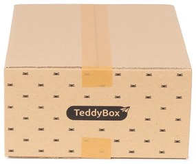 Set de 3 cutii de depozitare bej Compactor Teddy, 35 x 15 cm