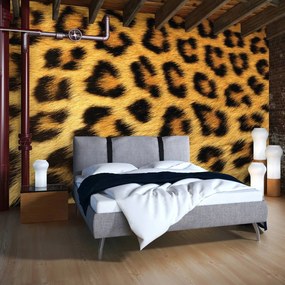 Fototapet - Fibre de păr de leopard (254x184 cm)