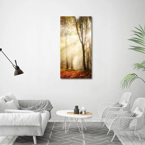 Fotografie imprimată pe sticlă pădure în toamna