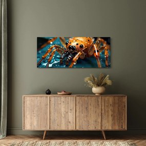 Tablou - Detaliu de păianjen (120x50 cm)