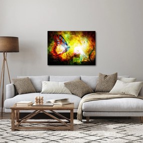 Tablou - Fluture spațial (70x50 cm)
