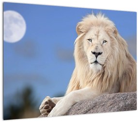 Tablou pe sticlă - Leu alb (70x50 cm)