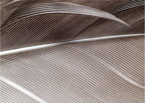 Tablou pe sticlă cu fibre abstacte (70x50 cm)