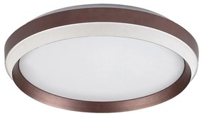 Rabalux 71159 - Plafonieră LED FONTANA LED/24W/230V 3000K