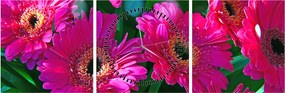 Tablou - floare (cu ceas) (90x30 cm)