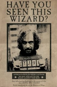 Poster Harry Potter - Wanted Sirius Black, (61 x 91.5 cm)