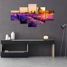 Tablou cu câmp de lavanda (125x70 cm), în 40 de alte dimensiuni noi