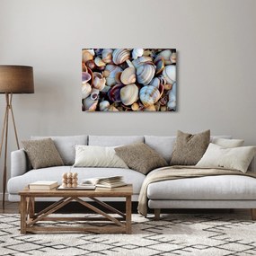 tablou cu scoici (90x60 cm)