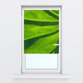 Fotojaluzele R014829R57150 (57x150 cm)