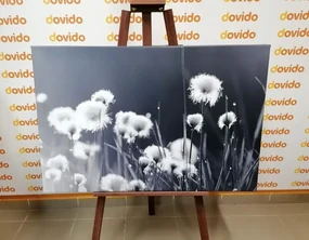 Tablou iarbă din bumbac în design alb-negru