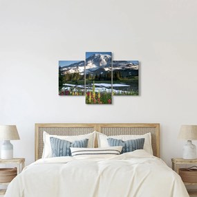 Tablou - Muntele Rainier (90x60 cm)