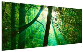 Tablou pe pânză K011663K12050 (120x50 cm), în 40 de alte dimensiuni noi